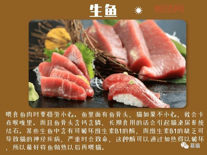 淡水生鱼喂猫有风险？专家解析猫咪饮食注意事项