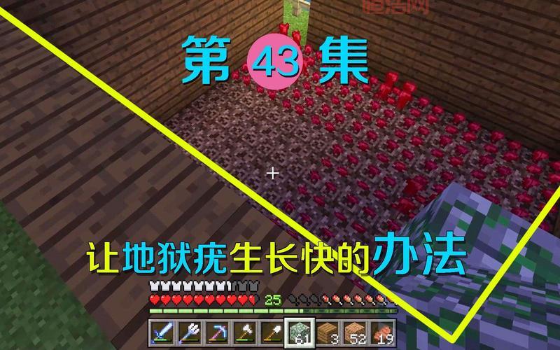 我的世界地狱疣种植攻略，老玩家总结的干货！