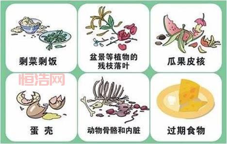 湿垃圾的危害与环保处理方法详解