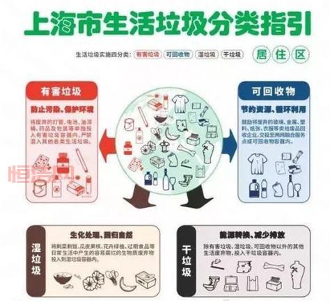 湿垃圾的危害与环保处理方法详解