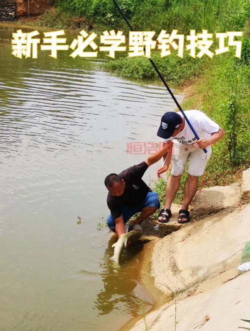 帝国时代2征服者秘籍怎么用？新手老手都需要的秘籍攻略！