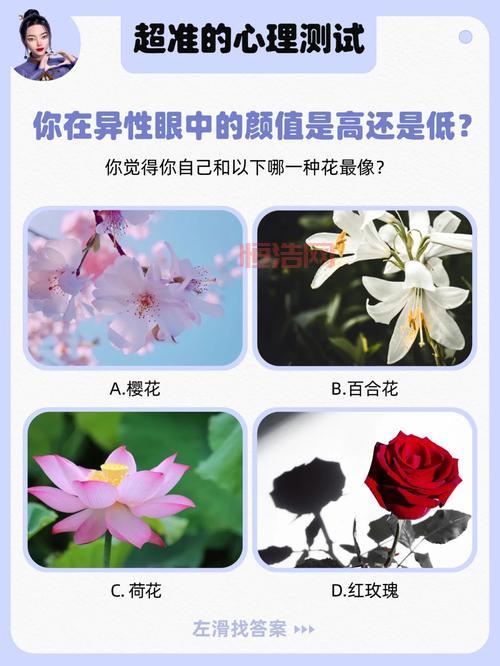 “你的意义是什么鬼东西测试在哪”？入口在这里，快来测测看！