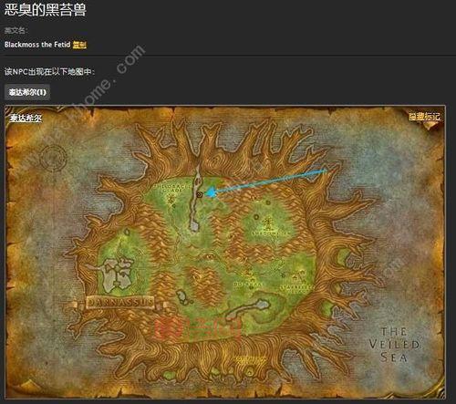 猴王出世副本怎么刷？新手老手通关技巧大公开！