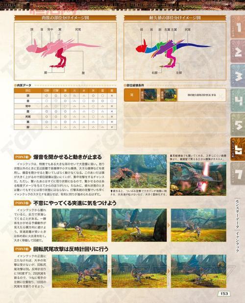 怪物猎人4攻略全武器使用技巧与任务流程详解