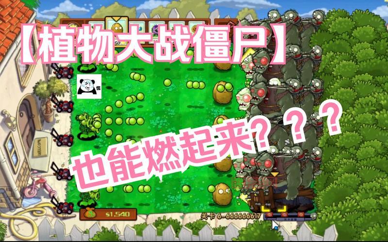 植物大战僵尸奥利给版在哪下载？附安装教程！