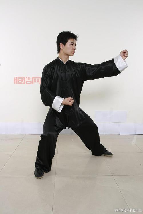 狂狮怒吼新手指南：快速上手与实用技巧