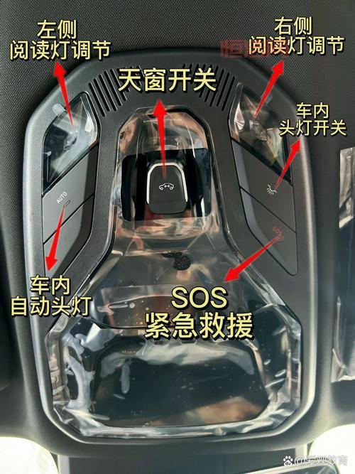 狂狮怒吼新手指南：快速上手与实用技巧