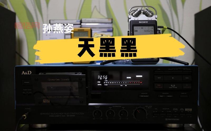 想看天黑黑影院在线观看国语版？这个网站资源超全！