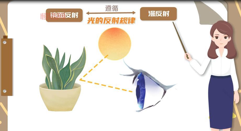 奇妙反射镜是真的吗？带你揭秘它的神奇效果！