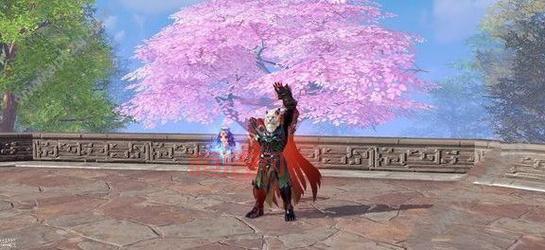 功夫小子百宝卷怎么玩？详细攻略帮你变高手！