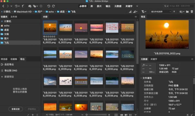 2023必看！18款夜间禁用软件入口新鲜出炉！