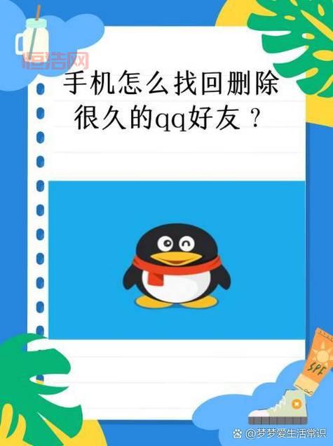 qq好友网怎么找？这几个方法让你快速找到qq好友！