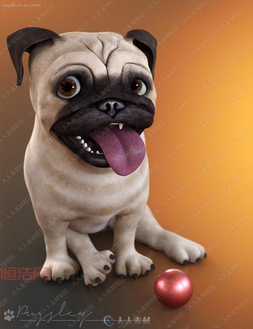 ZOOM人狗APP欢迎你，超多有趣内容等你来看！