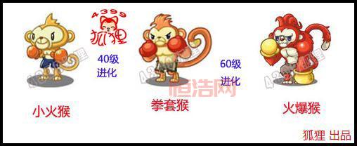 洛克王国猫老大在哪抓？这份攻略帮你搞定！