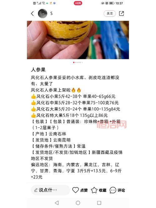 梦幻人参果价格查询，一分钟了解最新价格！