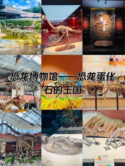 巨兽岛恐龙蛋有什么用？恐龙蛋用途及孵化攻略