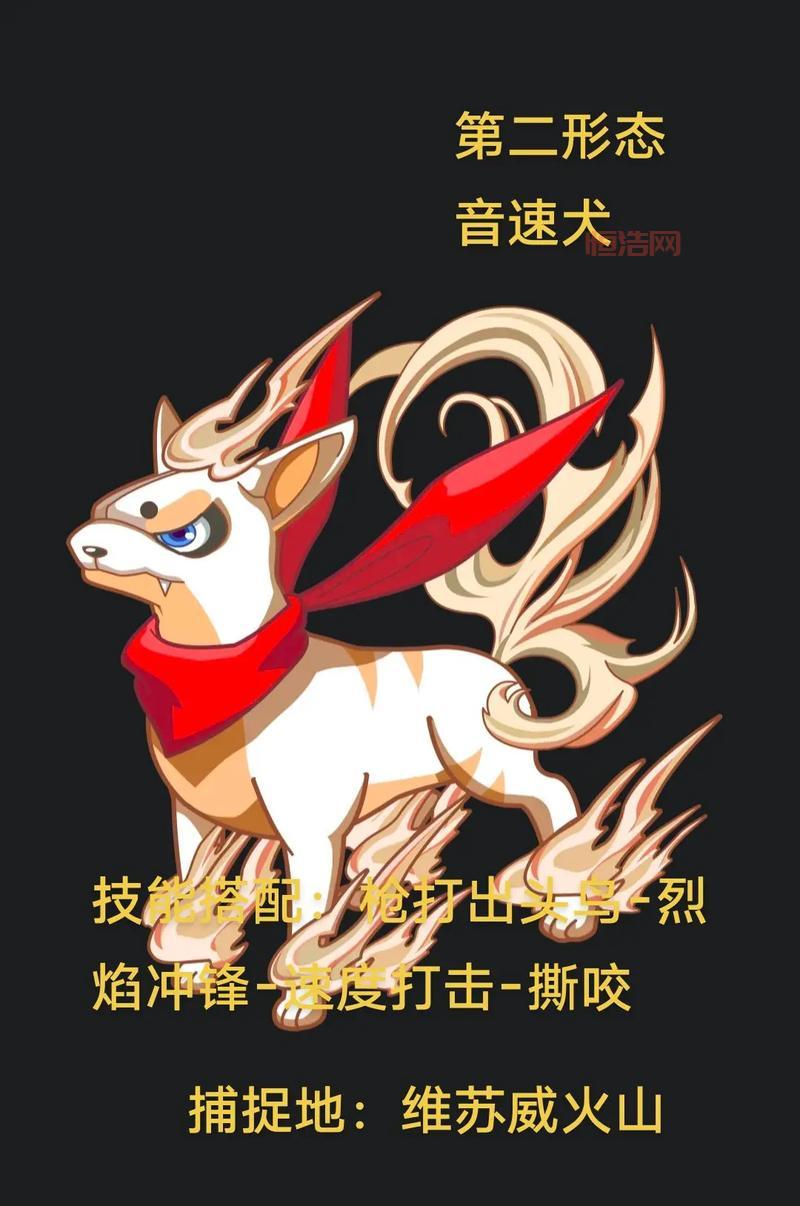 洛克王国音速犬快速升级秘籍，让你等级飞升！