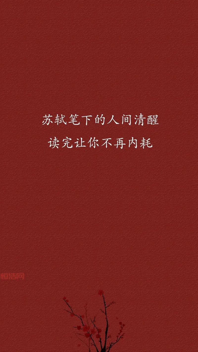 抖加是正规平台吗？内行人告诉你真相！