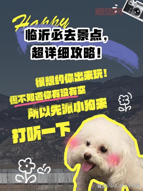 最详细的完全攻略，你想知道的都在这里！