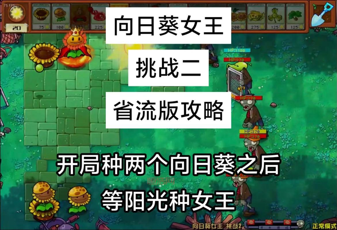 向日葵大进发是什么游戏？新手攻略看这篇就够了！