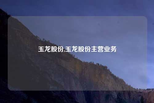 玉龙股份,玉龙股份主营业务