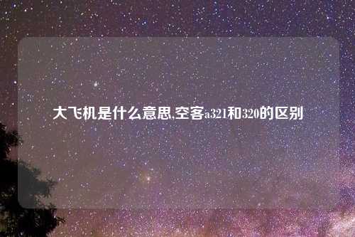 大飞机是什么意思,空客a321和320的区别