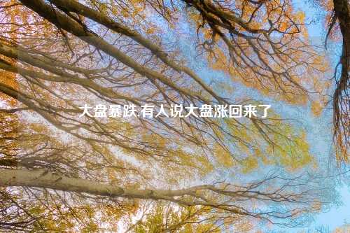 大盘暴跌,有人说大盘涨回来了