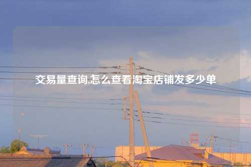 交易量查询,怎么查看淘宝店铺发多少单