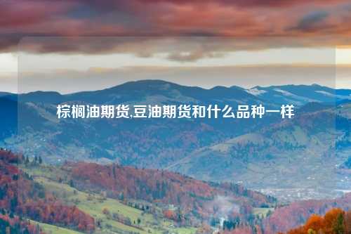棕榈油期货,豆油期货和什么品种一样