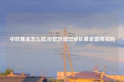 中欧基金怎么样,中欧价值型成长基金值得买吗