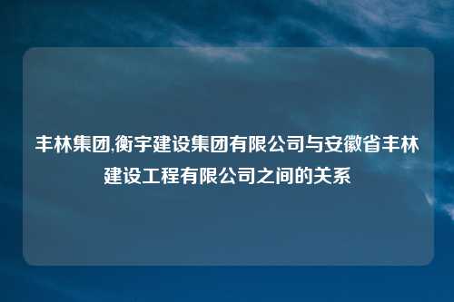 丰林集团,衡宇建设集团有限公司与安徽省丰林建设工程有限公司之间的关系