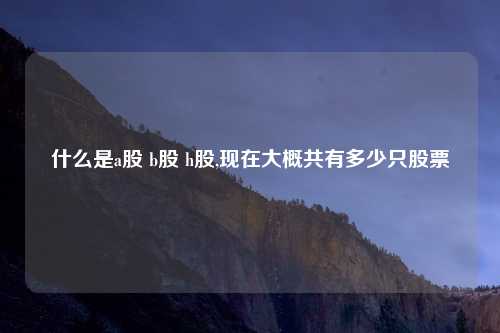 什么是a股 b股 h股,现在大概共有多少只股票
