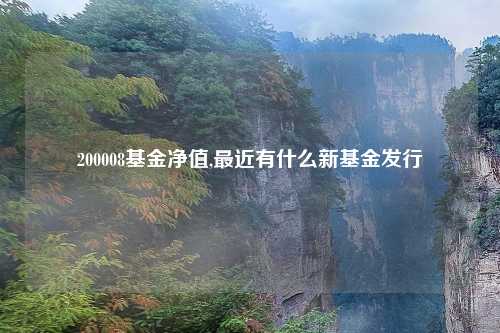 200008基金净值,最近有什么新基金发行