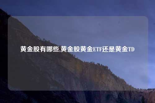 黄金股有哪些,黄金股黄金ETF还是黄金TD