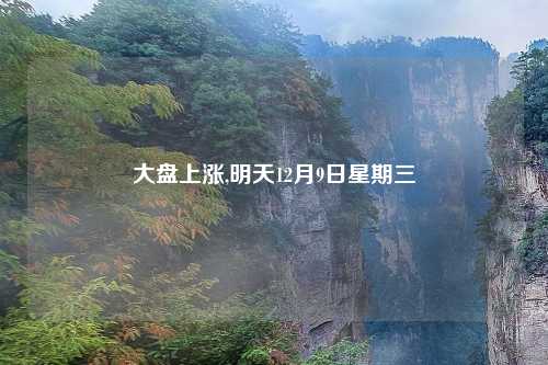 大盘上涨,明天12月9日星期三