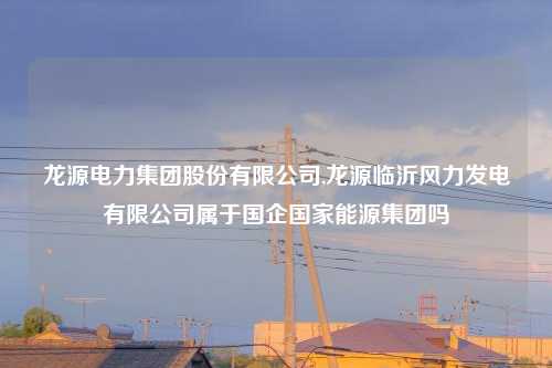 龙源电力集团股份有限公司,龙源临沂风力发电有限公司属于国企国家能源集团吗