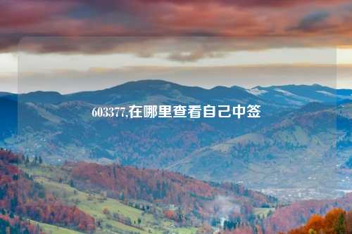 603377,在哪里查看自己中签