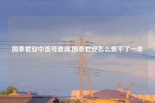 国泰君安中签号查询,国泰君安怎么查不了一年