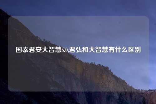国泰君安大智慧5.0,君弘和大智慧有什么区别