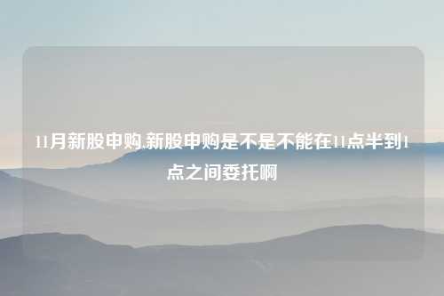 11月新股申购,新股申购是不是不能在11点半到1点之间委托啊