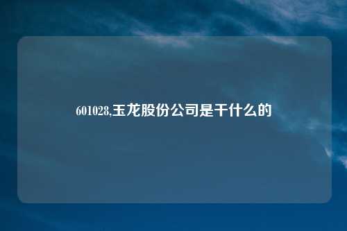 601028,玉龙股份公司是干什么的