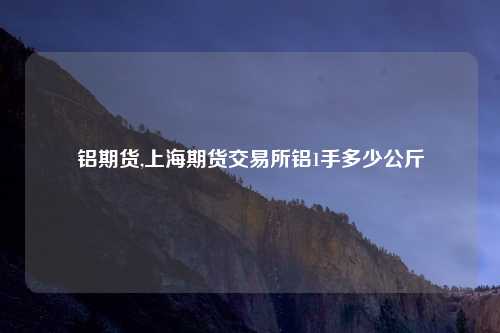 铝期货,上海期货交易所铝1手多少公斤