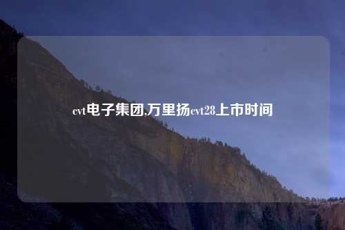 cvt电子集团,万里扬cvt28上市时间