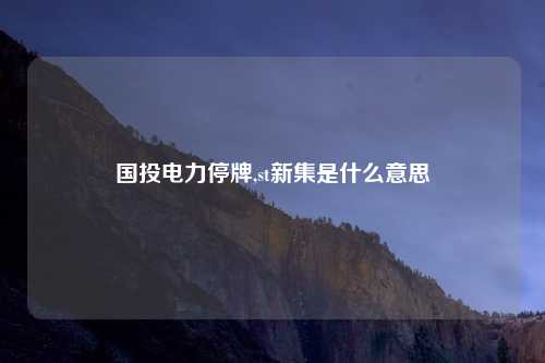 国投电力停牌,st新集是什么意思