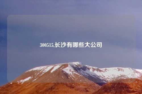 300515,长沙有哪些大公司
