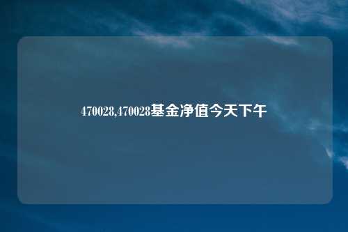 470028,470028基金净值今天下午