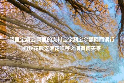 阿里定期宝,阿里的支付宝余额宝余额网商银行蚂蚁花呗芝麻花呗等之间有何关系