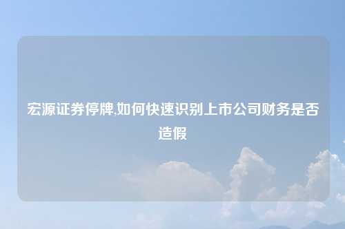 宏源证券停牌,如何快速识别上市公司财务是否造假