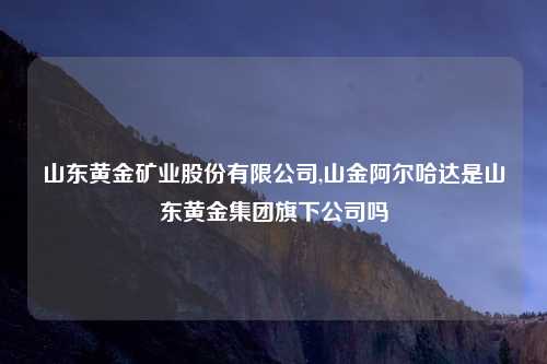 山东黄金矿业股份有限公司,山金阿尔哈达是山东黄金集团旗下公司吗