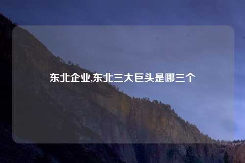 东北企业,东北三大巨头是哪三个